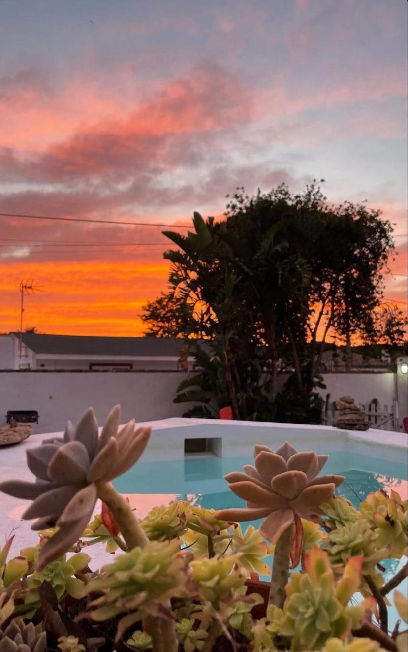 Apartmán Tapayia Chiclana de la Frontera Exteriér fotografie